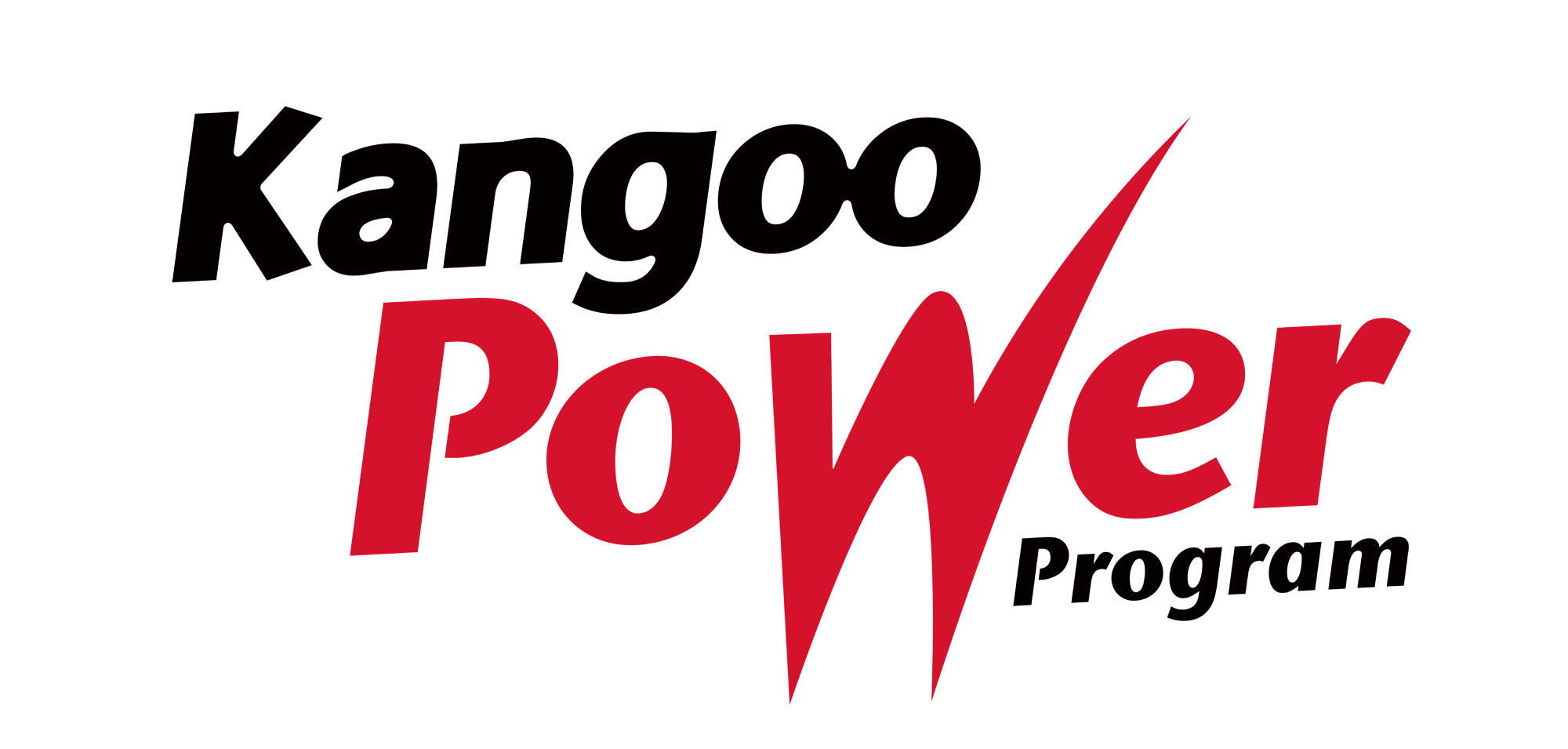 Logo Kangoo Power Program
